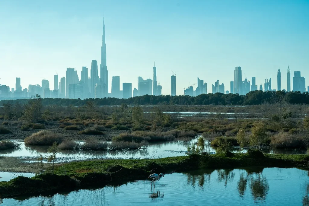 Dubai skyline across the Ras Al Khor wetlands — Local vs Global Car Rental Software