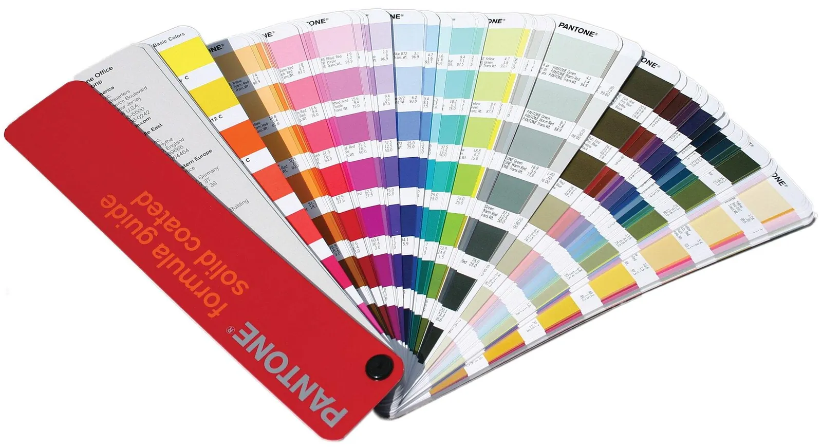 Pantone colour swatch fan for choosing a brand palette